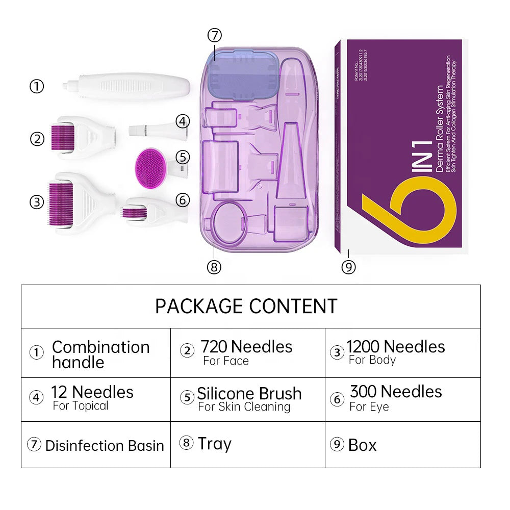 DRS 6 In1 Microneedle Derma Rolling Device Kits 12 / 300 / 720 / 1200 pins Derma Roller Beauty Personal Care With Medical CE