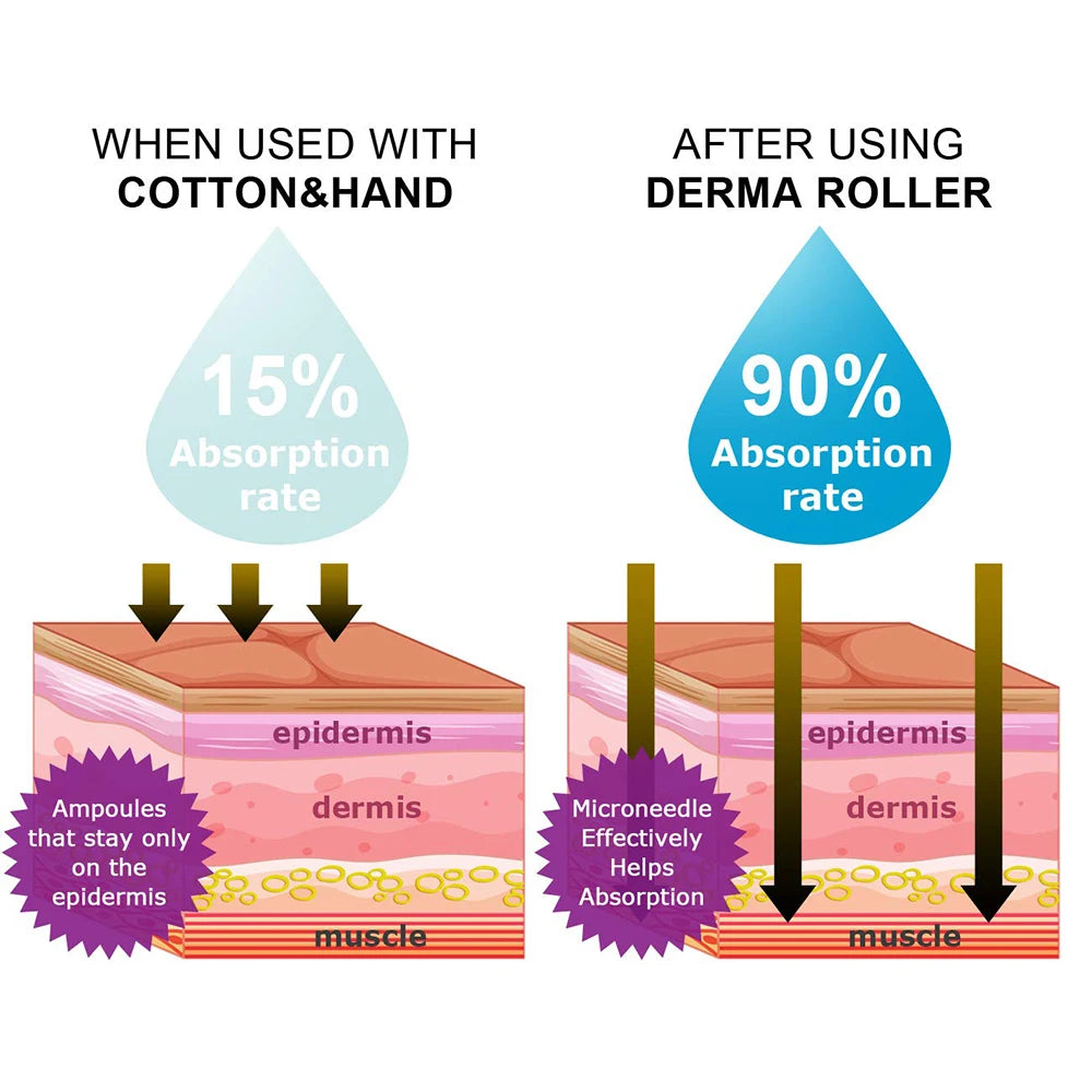مجموعة أدوات ديرما رولر 6 في 1 بإبر دقيقة 12 / 300 / 720 / 1200 دبوس للعناية الشخصية بالجمال مع شهادة CE الطبية