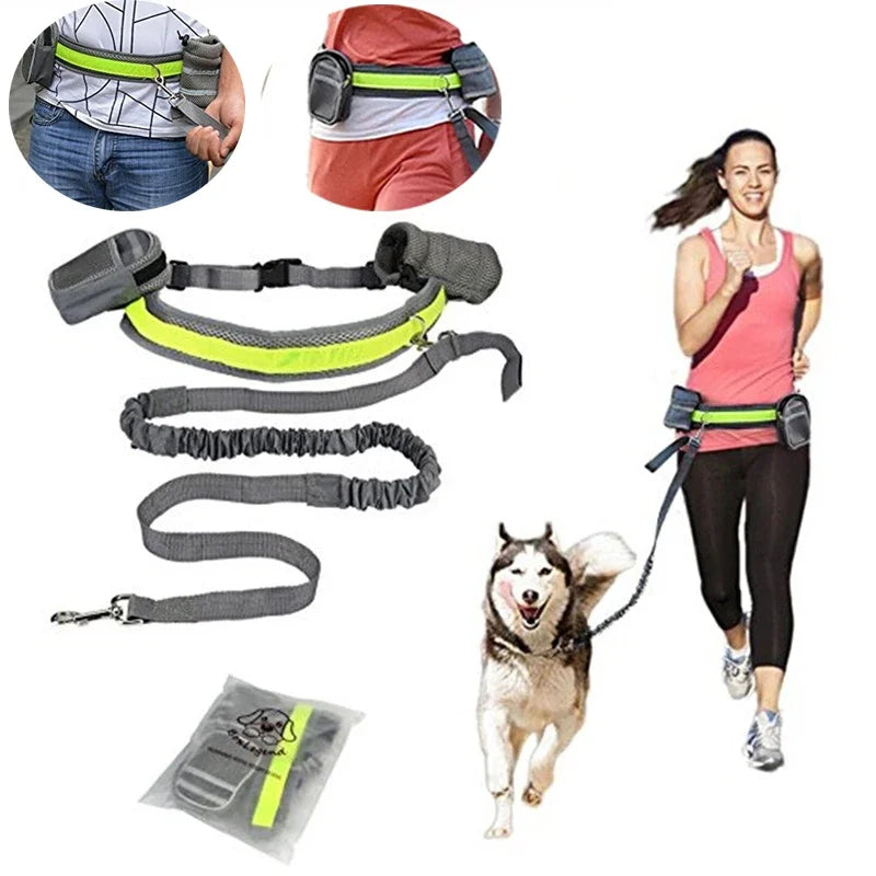 Pet Dog Cat Elastic Reflective Belt Running Jogging Leash Set Leash Collar Pet accessories Puppy  Harness Walking Training Dog