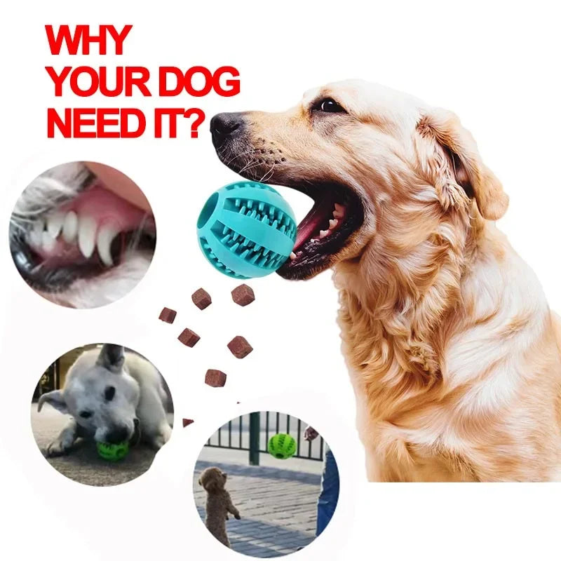 Soft Pet Dog Toys Toy Funny Interactive Elasticity Ball Dog Chew Toy  Dog Tooth Clean Ball Food Extra-tough Rubber Ball Dog Dog