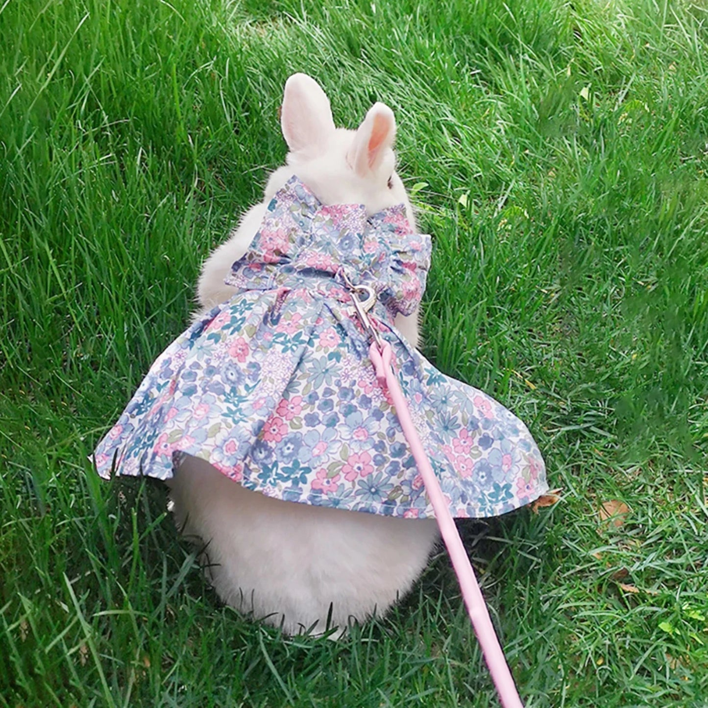 Small Animal Harness Vest Leash Set Soft Floral skirt Clothes Travel Chest Strap Rabbit Ferret Bunny Hamster Small Pet Supplies