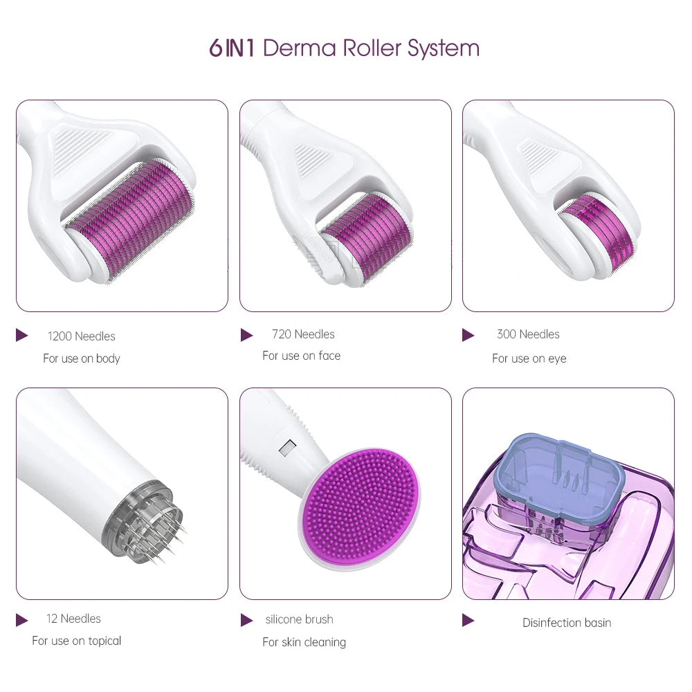 DRS 6 In1 Microneedle Derma Rolling Device Kits 12 / 300 / 720 / 1200 pins Derma Roller Beauty Personal Care With Medical CE