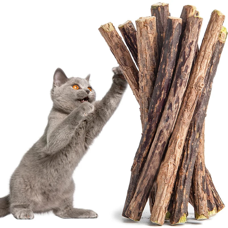 10pcs Cat Catnip Toys Natural Matatabi Sticks for Cats Pet Teeth Cleaning Toy Cat Chew Toy Kitten Silvervine Sticks Pet Supplies