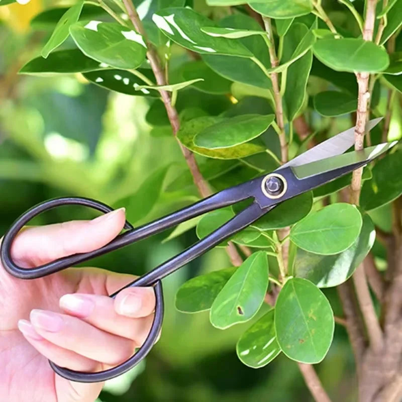 Long Handle Scissors Bonsai Tool Branch Pruning Shears for Arranging Flowers and Trimming Plants Garden Tools